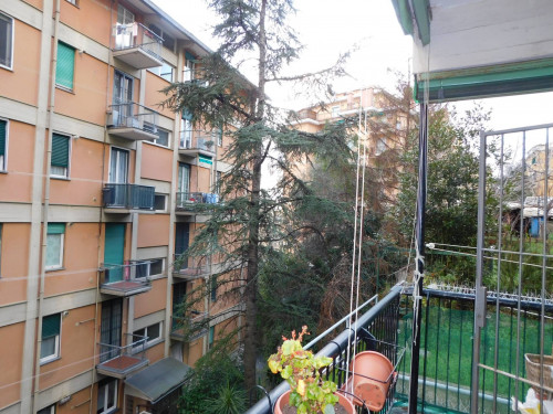 Appartamento in Vendita a Genova #16